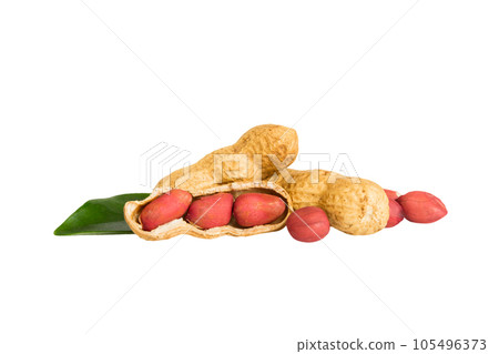 pile unpeeled peanuts isolated on white background, top view. Flat lay Healthy food concept pile unpeeled peanuts isolated on white background, top view. Flat lay Healthy food concept 105496373