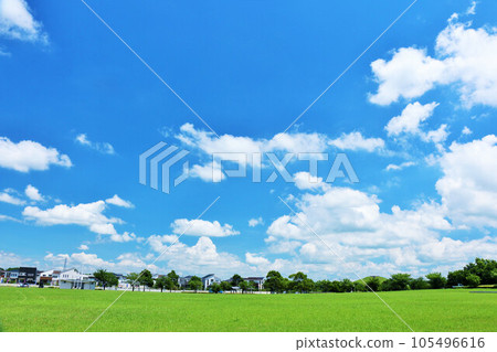 Summer blue sky and fresh green park scenery Summer blue sky and fresh green park scenery 105496616