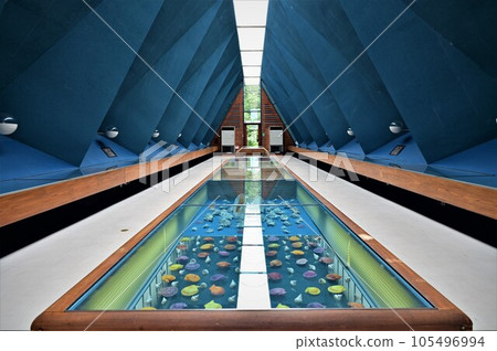 Kochi prefecture sea gallery horizontal composition Kochi prefecture sea gallery horizontal composition 105496994