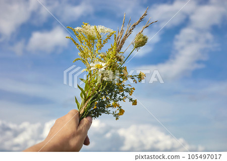 Herbal consecration and herb bush day of the Assumption of Mary day 105497017