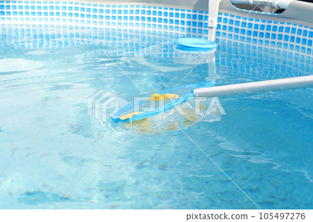 Cleaning a swimming pool with a mesh skimmer . The long net cleans colored leaves off surface of the water Cleaning a swimming pool with a mesh skimmer . The long net cleans colored leaves off surface of the water 105497276