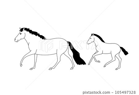 Shetland ponies, mare and foal 105497328