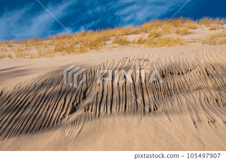 Beautiful dunesscenery of the Slowinski National Park by the Baltic Sea, Leba. Poland 105497907