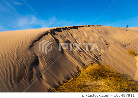 Beautiful dunes scenery of the Slowinski National Park by the Baltic Sea, Leba. Poland 105497911