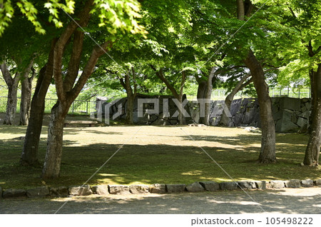 Morioka Iwate Park in spring Morioka Iwate Park in spring 105498222