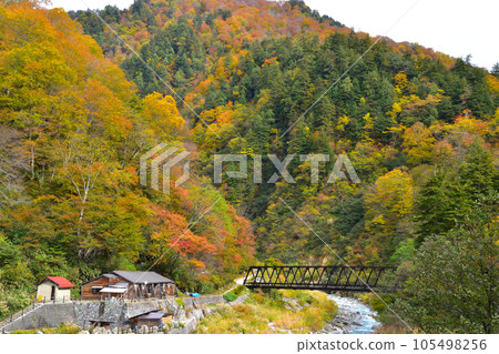Autumn Babadani Onsen Autumn Babadani Onsen 105498256
