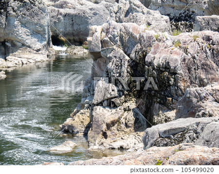 Toryu-nada in summer (Kato City, Hyogo Prefecture). A scenic spot in the midstream of the Kako River. 105499020