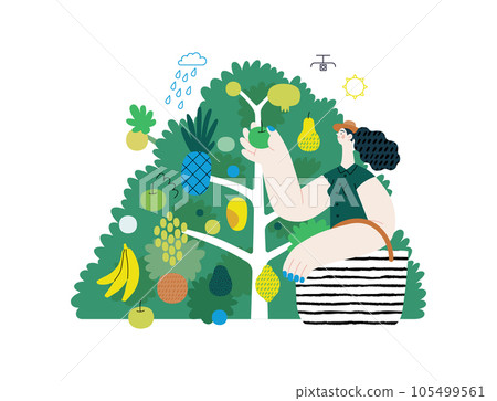 Greenery, ecology -modern flat vector concept illustration of a woman gathering fruit from the 40 fruit tree. Metaphor of environmental sustainability and protection, closeness to nature Greenery, ecology -modern flat vector concept illustration of a woman gathering fruit from the 40 fruit tree. Metaphor of environmental sustainability and protection, closeness to nature 105499561