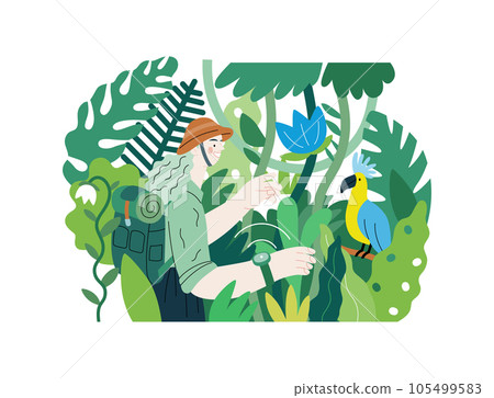 Greenery, ecology -modern flat vector concept illustration of a woman exploring the jungle and a wild bird in a tree. Metaphor of environmental sustainability and protection, closeness to nature Greenery, ecology -modern flat vector concept illustration of a woman exploring the jungle and a wild bird in a tree. Metaphor of environmental sustainability and protection, closeness to nature 105499583