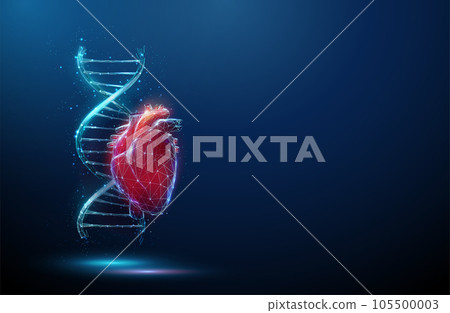 Blue DNA molecule helix with red human heart Blue DNA molecule helix with red human heart 105500003