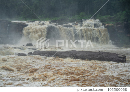 Waterfall in the forest in bolaven plateau Laos Waterfall in the forest in bolaven plateau Laos 105500068