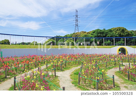 北九州市響灘綠色公園 綠色公園 世界上最長的鞦韆 北九州市響灘綠色公園 綠色公園 世界上最長的鞦韆 105500328