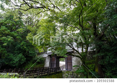Obi Castle surrounded by fresh greenery 105501588