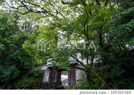 Obi Castle surrounded by fresh greenery 105501589