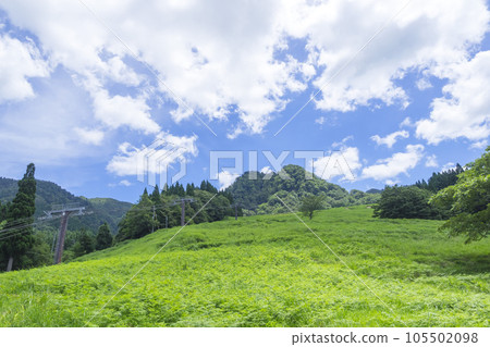 夏季的若狹冰之山滑雪場 鳥取縣冰之山滑雪場 105502098