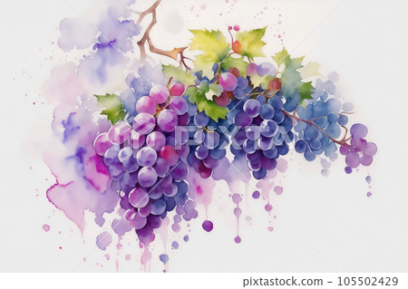 Grapes HD Wallpapers Desktop Background