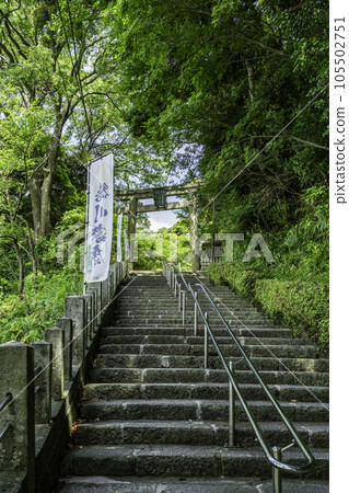 福井縣敦賀市敦賀金崎神社鳥居 105502751