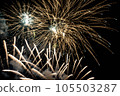 Fireworks display   105503287
