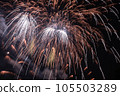 Fireworks display   105503289