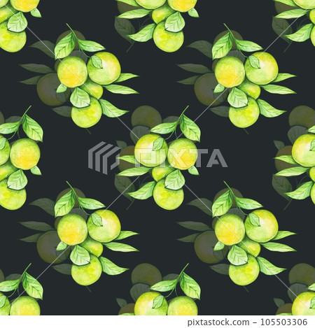 Seamless pattern with oranges. Watercolor on a dark background Seamless pattern with oranges. Watercolor on a dark background 105503306