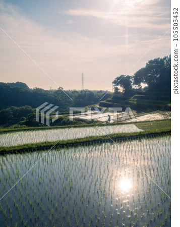 People doing farm work in terraced rice fields People doing farm work in terraced rice fields 105503452