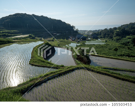 Scenery of Ishida Terraced Rice Fields on Awaji Island 105503453