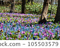 blue and pink rug 105503579