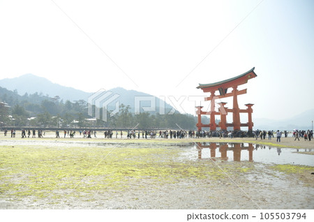 日本著名的鳥居 日本著名的鳥居 105503794