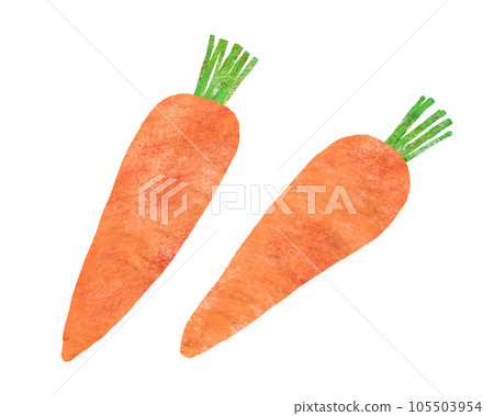 胡蘿蔔手繪插畫 105503954