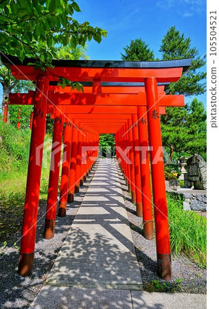 北海道小樽，住吉神社的次參道鳥居 105504521