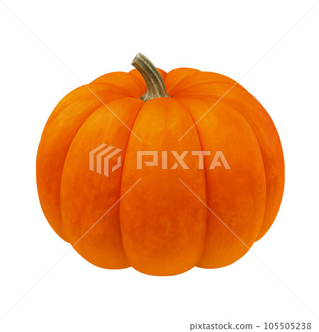 Halloween pumpkin illustration real Halloween pumpkin illustration real 105505238