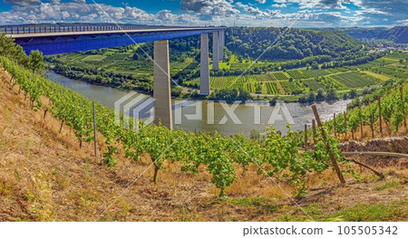 Picture of Mosel valley bridge in Germany with vineyards Picture of Mosel valley bridge in Germany with vineyards 105505342