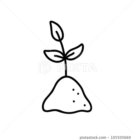 Plant seedling isolated on white background Plant seedling isolated on white background 105505660