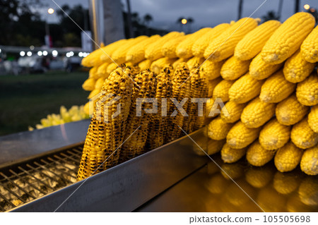 A street vendor roasts corn on a charcoal grill in Istanbul, Turkey. Misir, a popular Turkish street food, is freshly boiled or grilled sweet corn on the cob sprinkled with salt and spices. A street vendor roasts corn on a charcoal grill in Istanbul, Turkey. Misir, a popular Turkish street food, is freshly boiled or grilled sweet corn on the cob sprinkled with salt and spices. 105505698