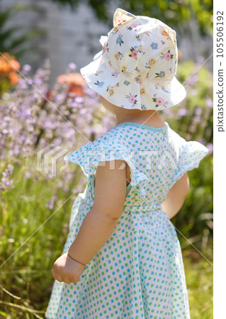 cute baby girl in dress in lavender in summer cute baby girl in dress in lavender in summer 105506192