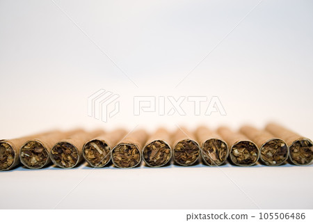 Cigars, tobacco leaves and tobacco  105506486