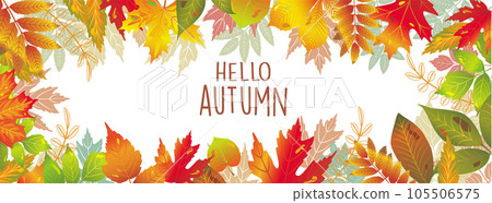 Seasonal banner of autumnal leaves Seasonal banner of autumnal leaves 105506575