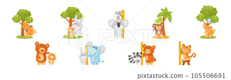 Funny Animals Measuring and Comparing Heights Vector Set 105506691
