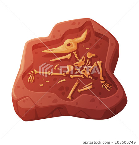 Fossil Obtained by Digging Rested in Soil or Ground Vector Illustration 105506749