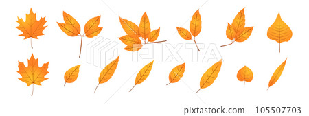 Orange autumn leaf icon. Motley yellow leaf glyph Orange autumn leaf icon. Motley yellow leaf glyph 105507703