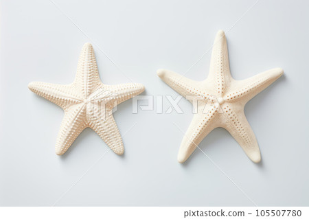 Two starfish are lying on a white background. 105507780