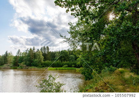 Trout pond with forest around at the Hoherodskopf hill in Hesse, region Vogelsberg in Germany 105507992