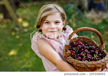 Beautiful girl in the garden. Happy girl with cherries. Preschol child with basket full of ripe berries and fun cherry earrings. Beautiful girl in the garden. Happy girl with cherries. Preschol child with basket full of ripe berries and fun cherry earrings. 105508005