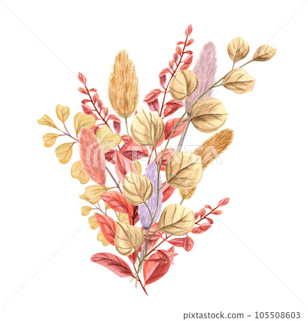 Bouquet of dried plants. Fluffy colorful lagurus, autumn herbs. Bunny tail, meadow branches. Composition isolated on white background. Watercolor illustration for card design, invitation, greeting Bouquet of dried plants. Fluffy colorful lagurus, autumn herbs. Bunny tail, meadow branches. Composition isolated on white background. Watercolor illustration for card design, invitation, greeting 105508603