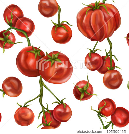 Seamless hand drawn pattern with red tomatoes and cherry tomatoes. Vegetable background for textiles, fabrics, banner, wrapping paper, and other designs. Digital illustration on white background 105509435