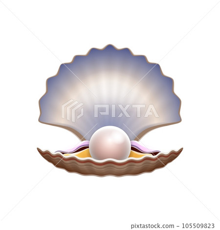 Cartoon scallop shell with pearl showcasing natural beauty and elegance in a harmonious combination. Isolated vector escallop crest adorned with lustrous sphere, symbolizing purity and ocean treasure 105509823