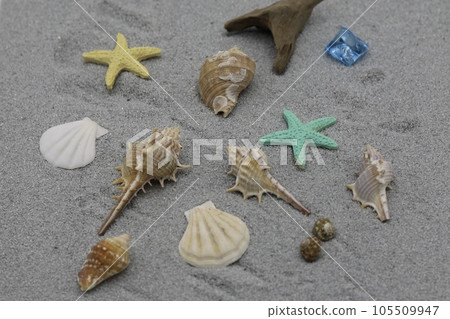 夏季海灘 夏季海灘 105509947