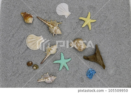 海灘 海灘 105509950