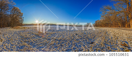 Panoramic image over snowy meadow with trees 105510631
