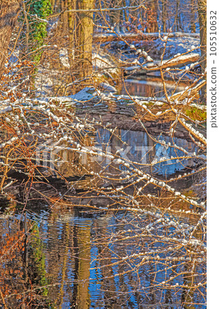 Image of a small river course in a forest with reflections Image of a small river course in a forest with reflections 105510632